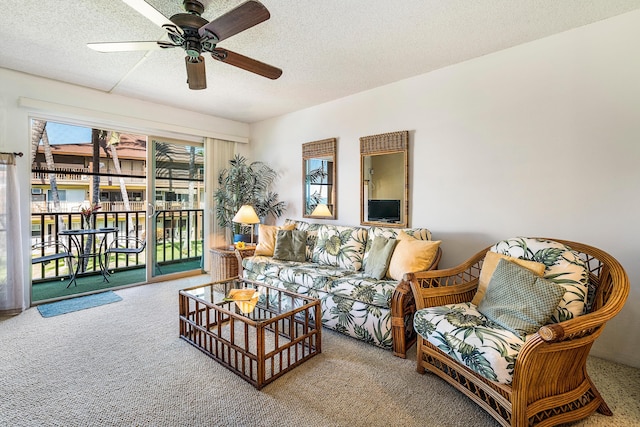 コナ アイル C28