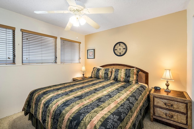 コナ アイル C28