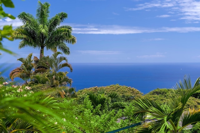 コアナ ブリーズ