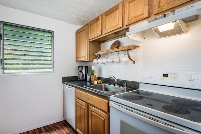 ケアウホウコナサーフ&ラケットクラブ#37