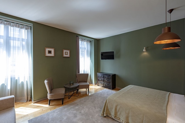 オリーブ ネイチャー