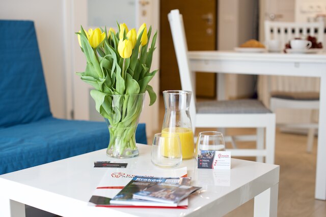 クラクフ アパートメンツ - ソルナ スタジオ