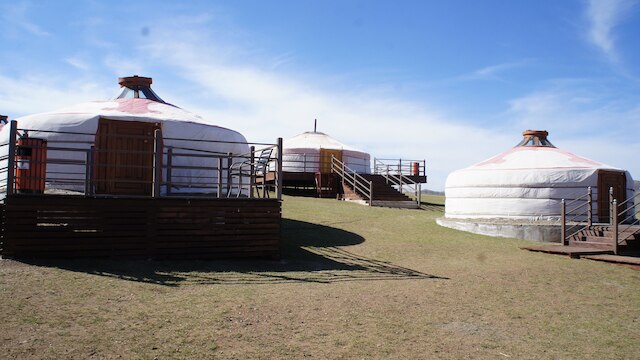 マンダラ ブリス モンゴリア