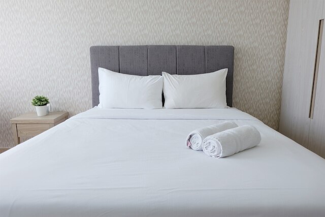 コンフィー スタジオ メンテン パーク アパートメント