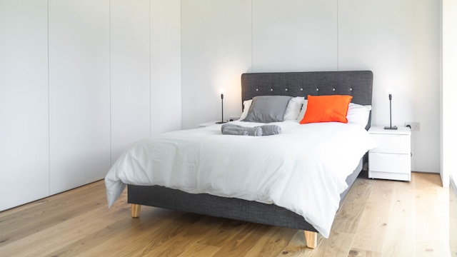 6 スプリングフィールド レーン