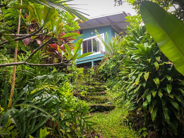 ジンジャーヒル ファーム リトリート