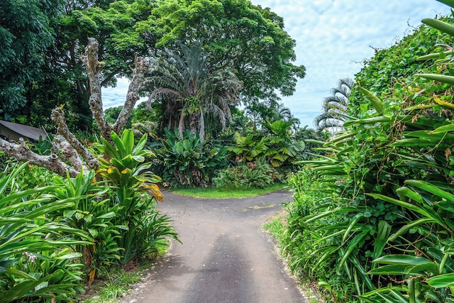 ジンジャーヒル ファーム リトリート