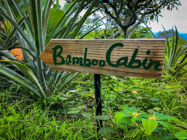 ジンジャーヒル ファーム リトリート