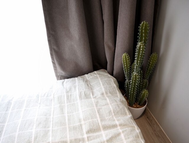 カクタス ホテル