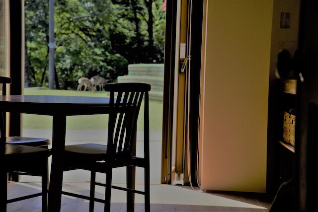 マウンテンホームロッジインディアーパーク