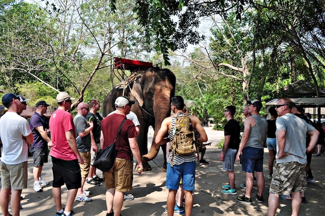 ザ ジャングル ハウス カオヤイ