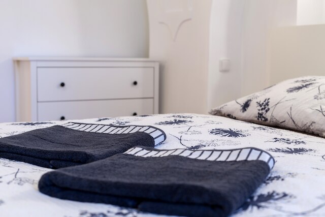 チャールズ ブリッジ エコノミック ホステル