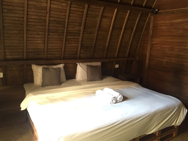 デデアネ ウブドゥ