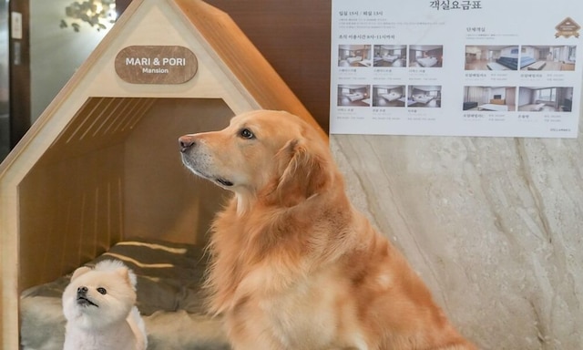 ウォルミド ステラ マリス ホテル