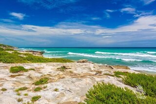 3 メンティラス ハリスコ バイ スカイラン