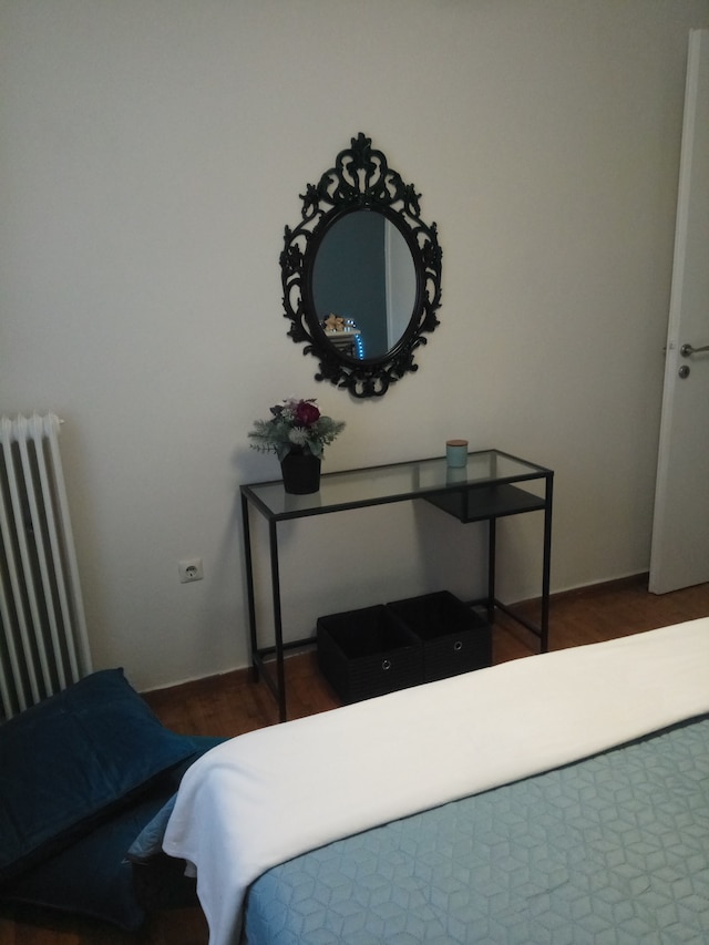 メッツ ニア フロム パナテナイク カリマルマロ スタジアム