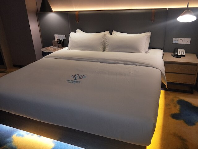 リーフー ホテル シャアチョン メトロ ブランチ (丽芙酒店)