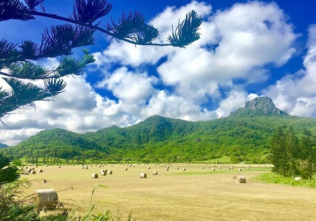 リー ティン B&B