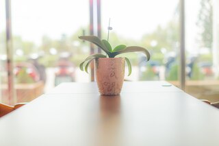 アタミ パンフーワン (熱海澎湖灣)