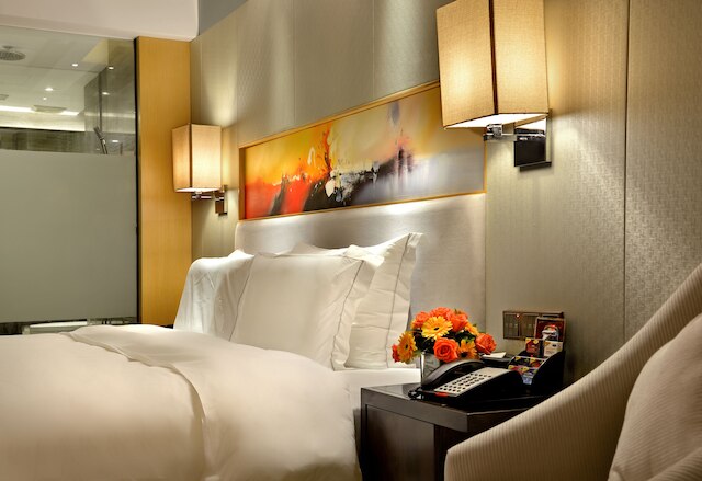 成都 ハオイー シューボー ホテル (好逸舒泊酒店)