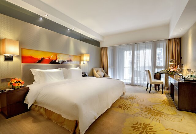 成都 ハオイー シューボー ホテル (好逸舒泊酒店)