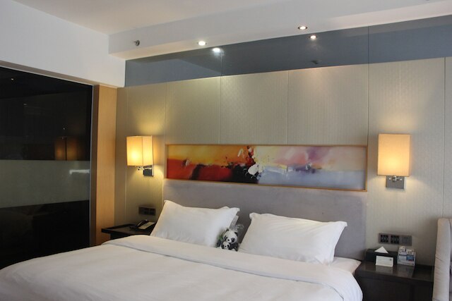 成都 ハオイー シューボー ホテル (好逸舒泊酒店)