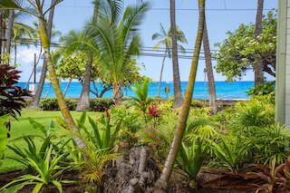 オーシャンフロント リモデーレド スタジオ コンド