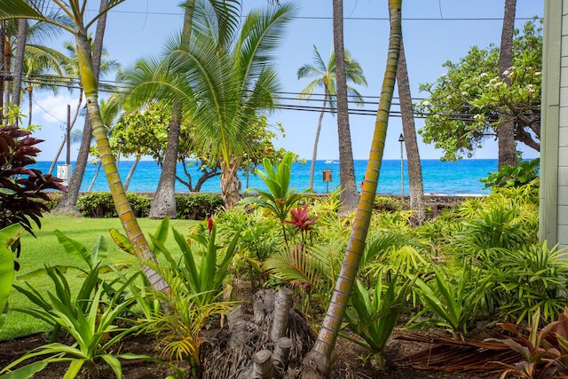 オーシャンフロント リモデーレド スタジオ コンド