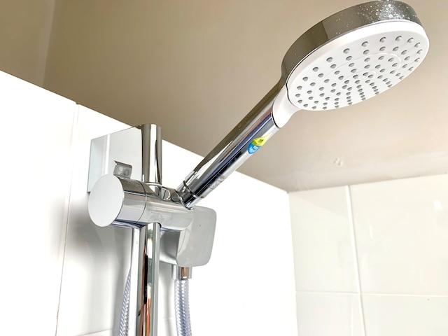 ザ レディー ハンプシャー