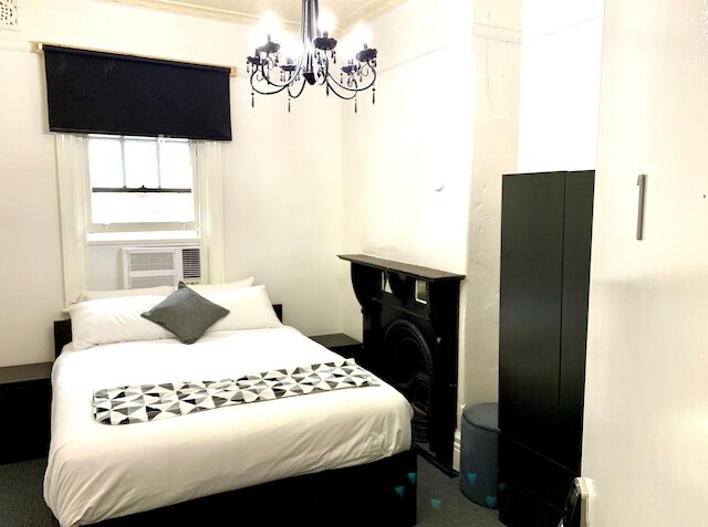 ザ レディー ハンプシャー