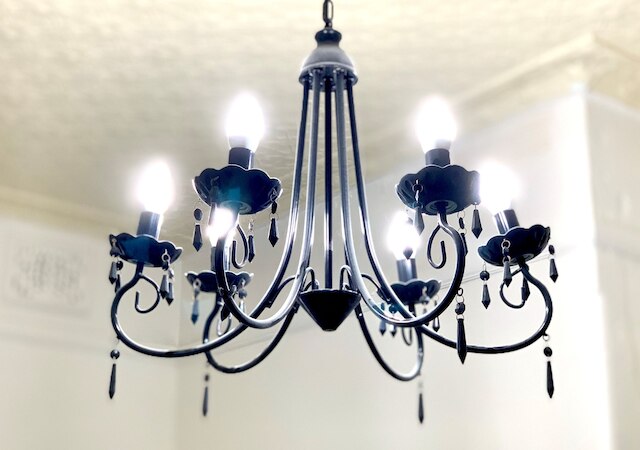 ザ レディー ハンプシャー