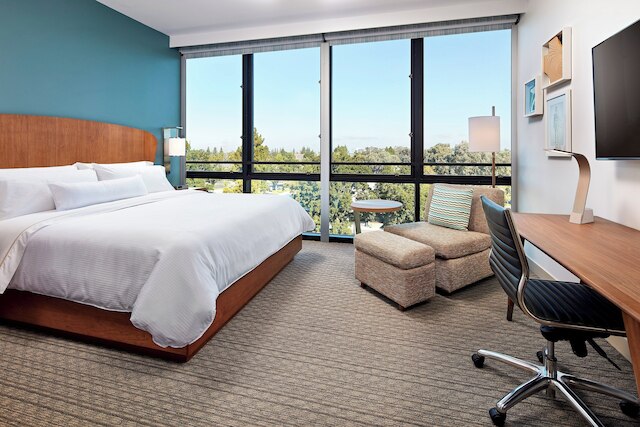 エレメント サンタ クララ