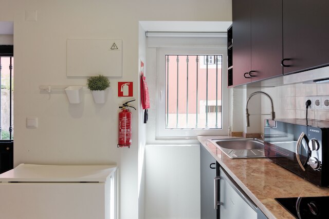 ティピカル アンド ブラン ニュー T.M. フラット