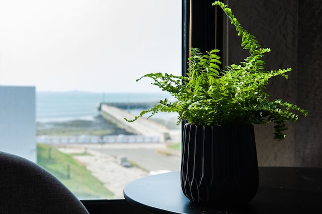 SH ヴィラ (頌華私墅)