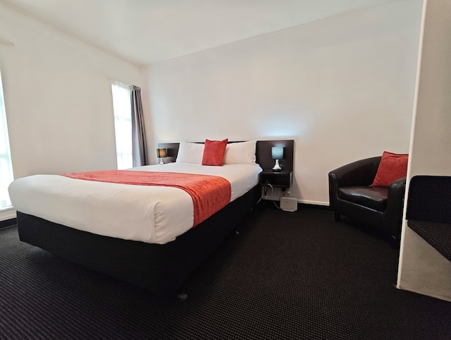 グレート レイク モーテル タウポ