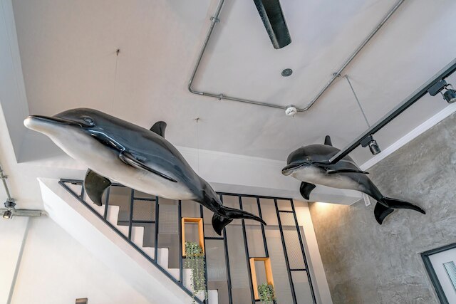 ブルー ハウス (藍屋)