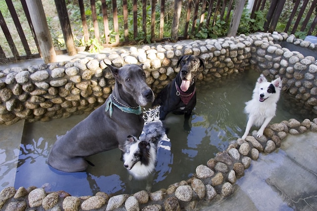 パートナーズハウスゆあさ