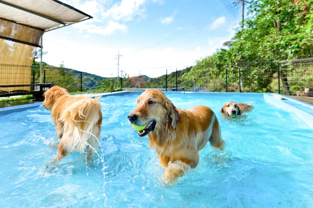 パートナーズハウスゆあさ