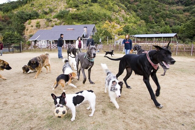 パートナーズハウスゆあさ