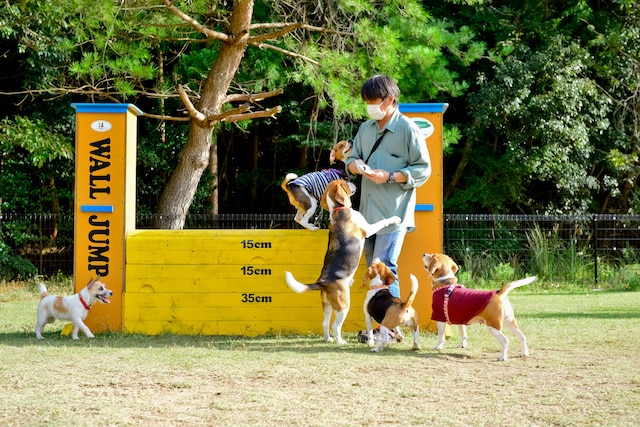 パートナーズハウスゆあさ