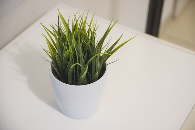 デュッセルドルフ コンフォート アパートメント