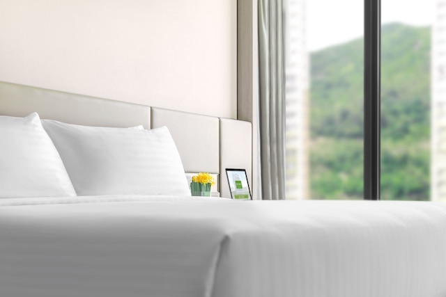 アルヴァ ホテル バイ ロイヤル (帝逸酒店)