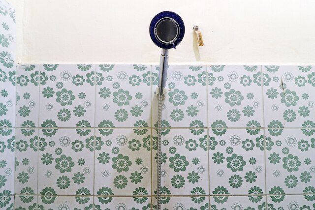 ゲスト ハウス タマンサリ シャリア