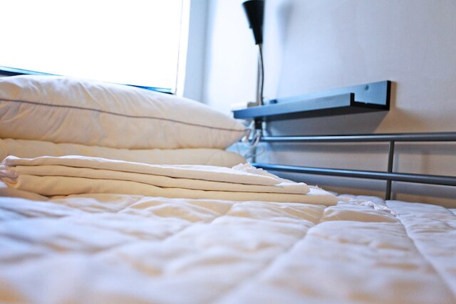 ネーブル オレンジ ホステル