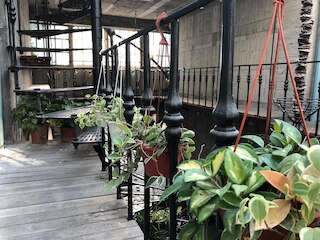 センノン ホームステイ