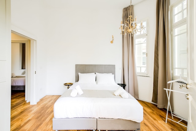 ハウス オブ パーム