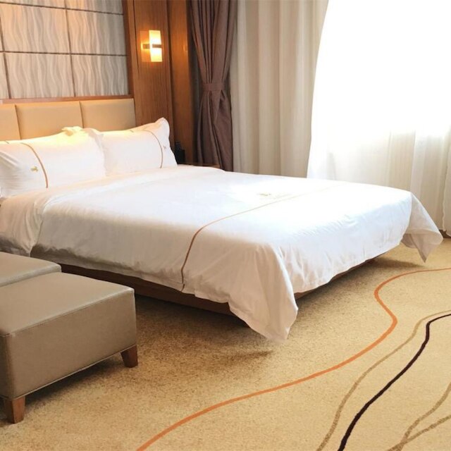 ボリリタイ ホテル