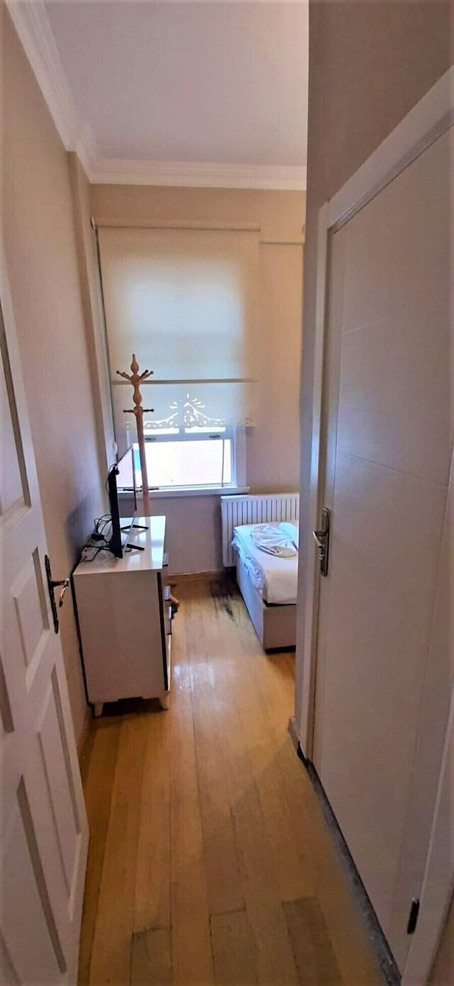 ヴァリデ・イ・スイット