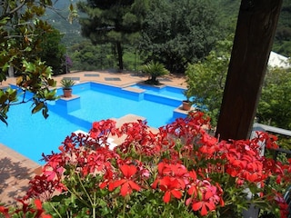 アグリツーリズモ ラ カーサ デル ギーロ