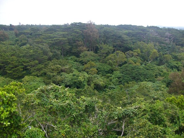 シーサイドハウス ニライ